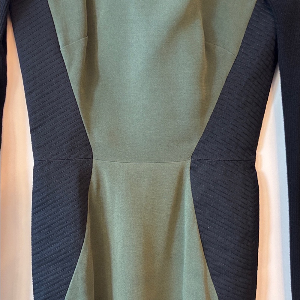 Victoria Beckham Chic Olive and Black Long Sleeve Dress - Picture 3 of 8